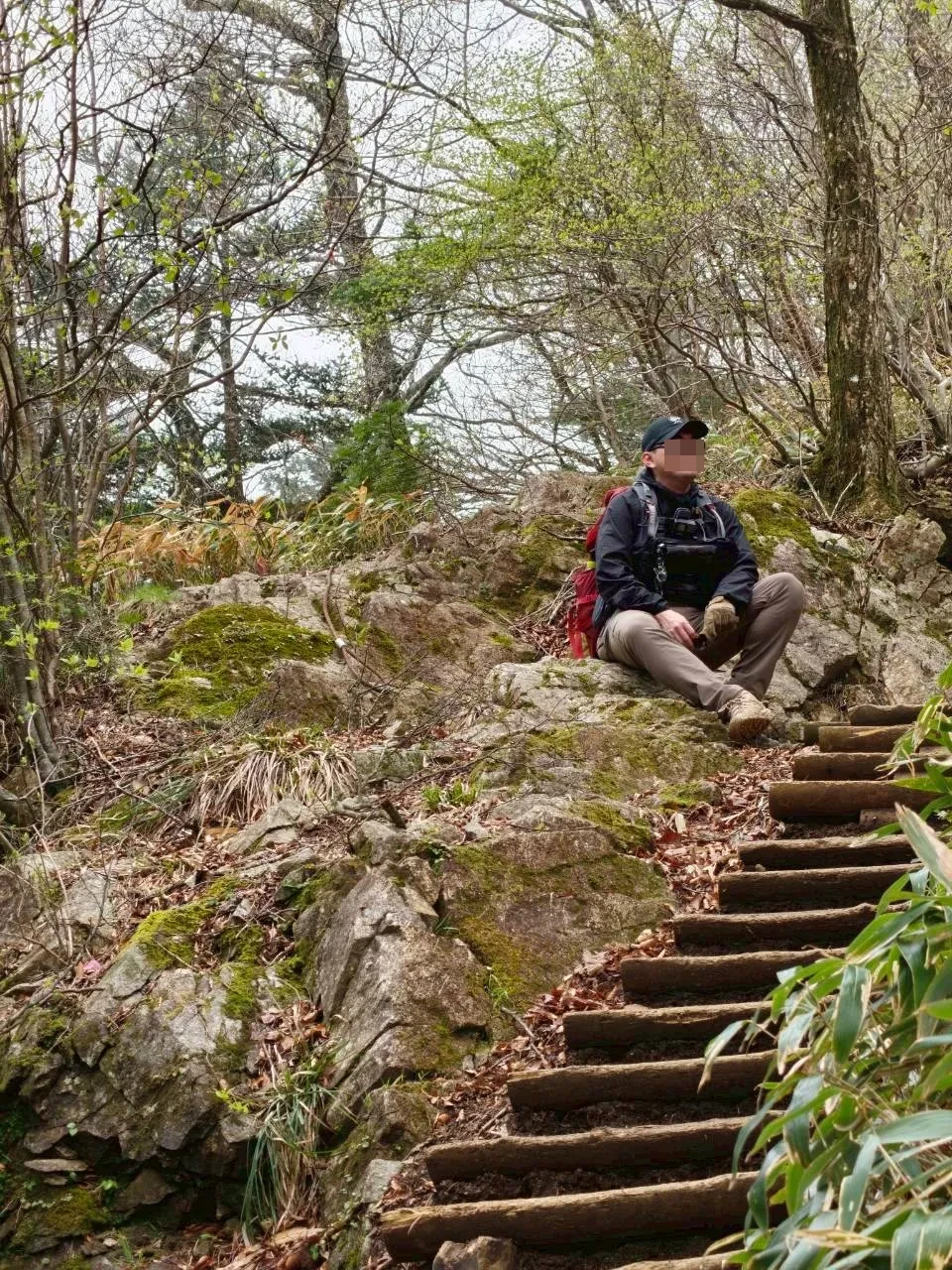 登山道の木製階段の脇で休憩している登山者。木々の新緑が広がる。